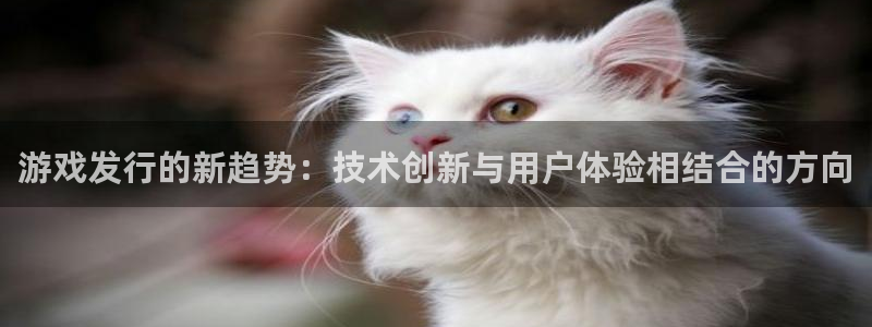 pp电子酒庄：游戏发行的新趋势：技术创新与用户体验相结合的方向