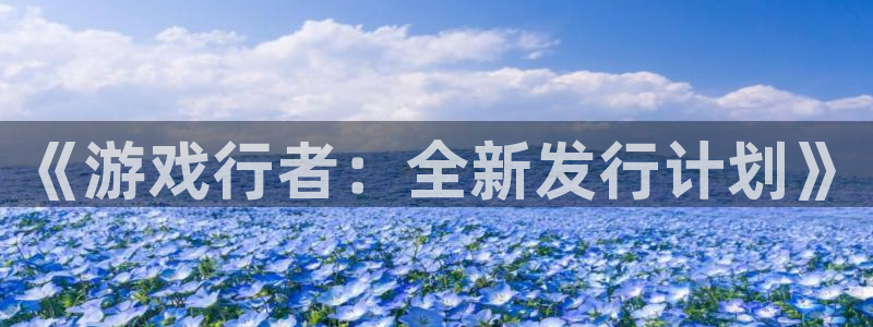 陕西pp电子子文化公司有什么游戏：《游戏行者：全新发行计划》