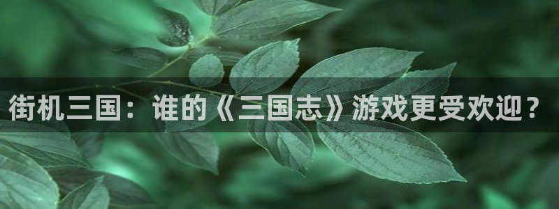 pp电子科技股票：街机三国：谁的《三国志》游戏更受欢迎？