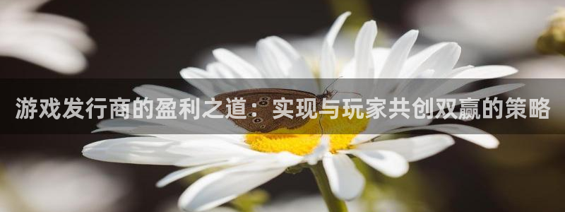 pp电子官网平台怎么样可靠吗：游戏发行商的盈利之道：实现与玩家共创双赢的策略
