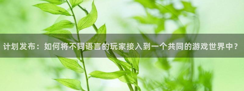 pp电子子写作课：计划发布：如何将不同语言的玩家接入到一个共同的游戏世界中？