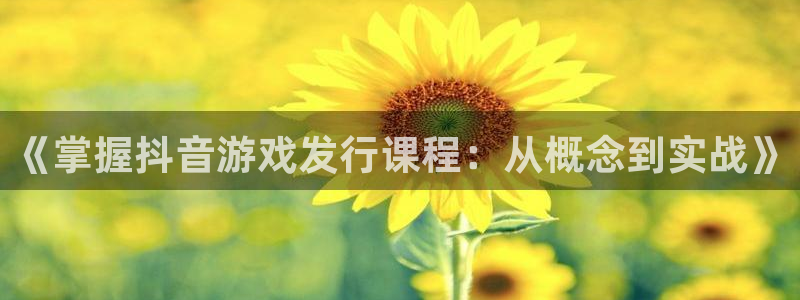 pp电子官网开户待遇：《掌握抖音游戏发行课程：从概念到实战》