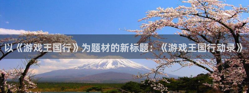 pp电子子财经图书：以《游戏王国行》为题材的新标题：《游戏王国行动录》