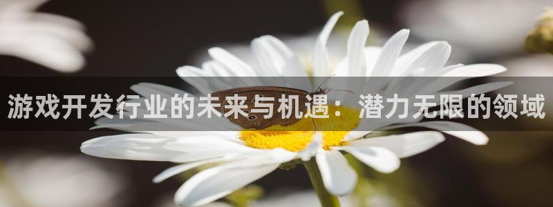pp电子官网的钱能提出来吗：游戏开发行业的未来与机遇：潜力无限的领域