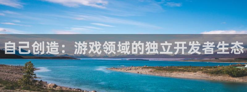 pp电子子文化创意做什么的：自己创造：游戏领域的独立开发者生态