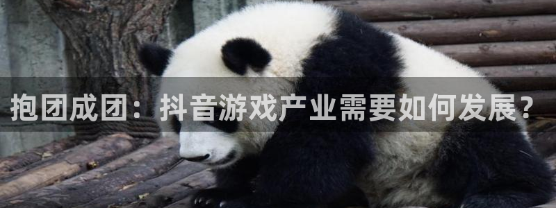 pp电子官网注册平台怎么样可靠吗：抱团成团：抖音游戏产业需要如何发展？