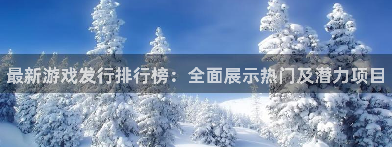 广东pp电子电子科技有限公司：最新游戏发行排行榜：全面展示热门及潜力项目