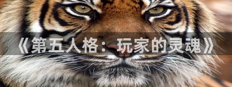 pp电子官网：《第五人格：玩家的灵魂》