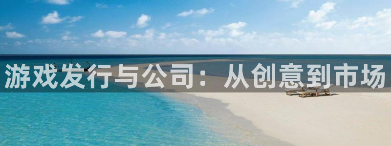 pp电子子集团：游戏发行与公司：从创意到市场