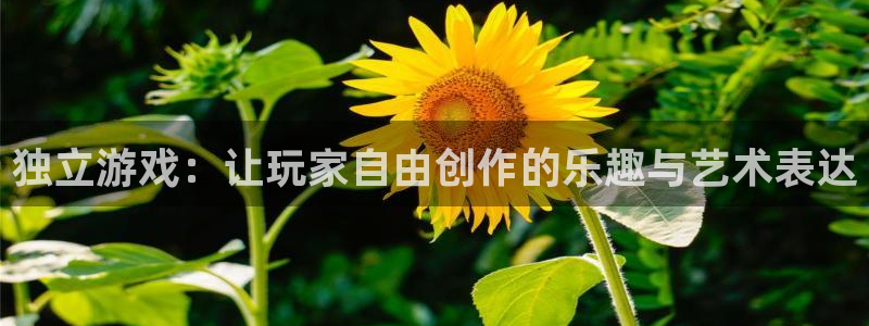 pp电子官网注册地址查询官网：独立游戏：让玩家自由创作的乐趣与艺术表达