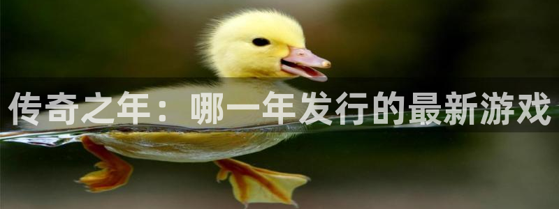 pp电子子的图片：传奇之年：哪一年发行的最新游戏