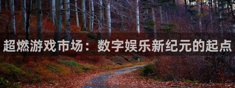 pp电子官网平台代理条件如何：超燃游戏市场：数字娱乐新纪元的起点
