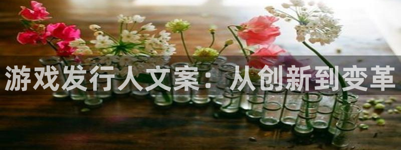 pp电子官网注册登录：游戏发行人文案：从创新到变革