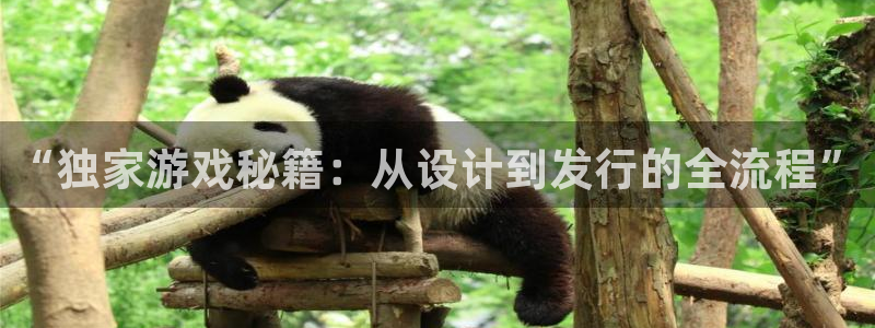 pp电子官网