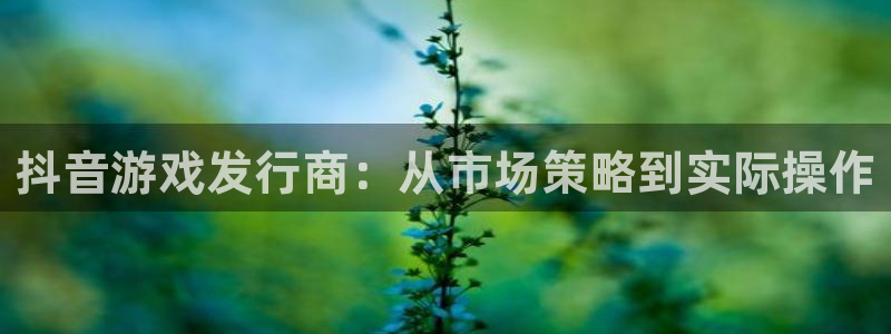 pp电子子股价