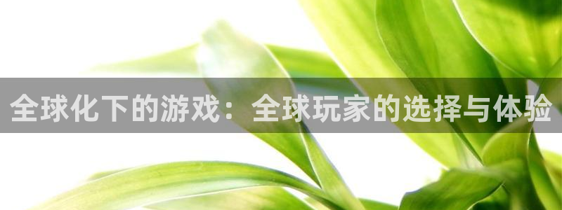 pp电子官网登录注册账号安全吗：全球化下的游戏：全球玩家的选择与体验