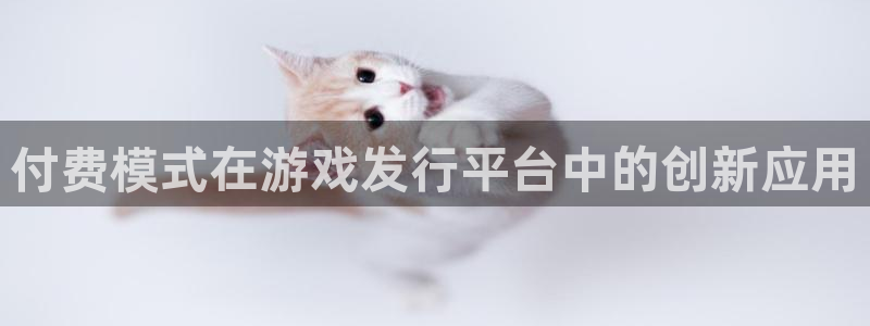 pp电子官网骗局是真的吗：付费模式在游戏发行平台中的创新应用